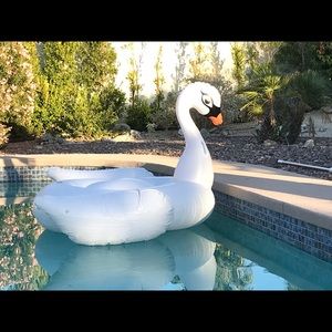 Meet your Posher, Rosie